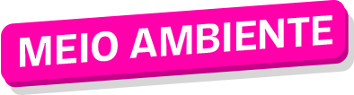 Meio ambiente